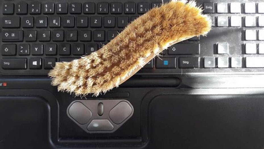 Frühjahrsputz mit Folgen